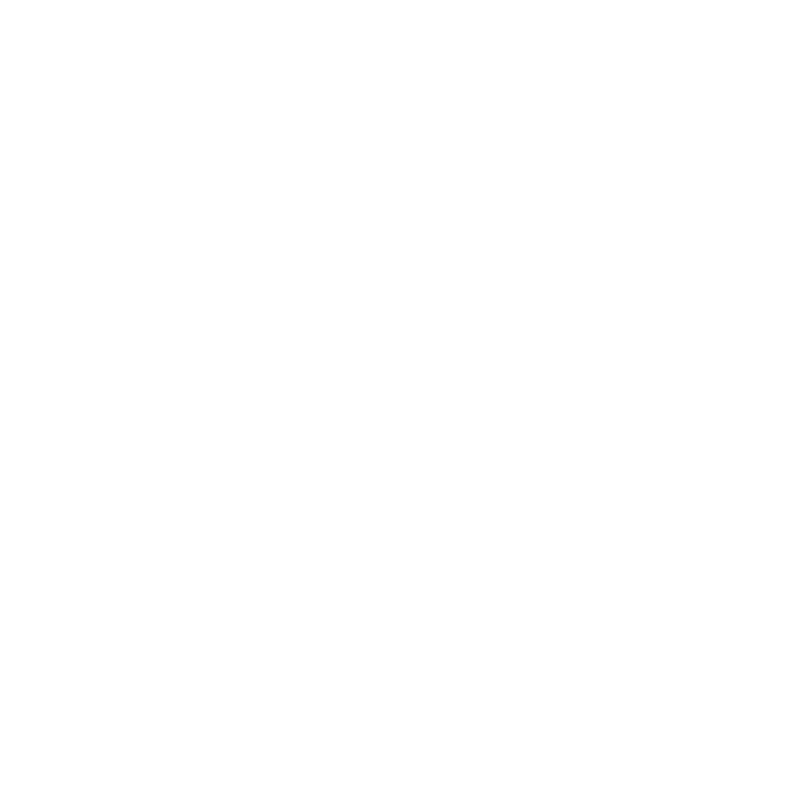 Scyzen India Trade Venture